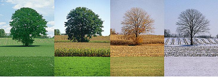 这款MOD把《上古卷轴VR》变成了《使命召唤》